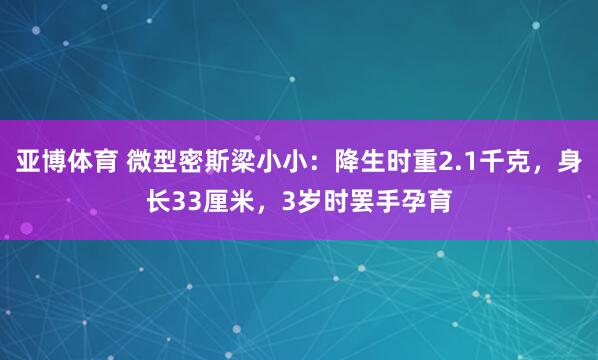 亚博体育 微型密斯梁小小：降生时重2.1千克，身长33厘米，3岁时罢手孕育