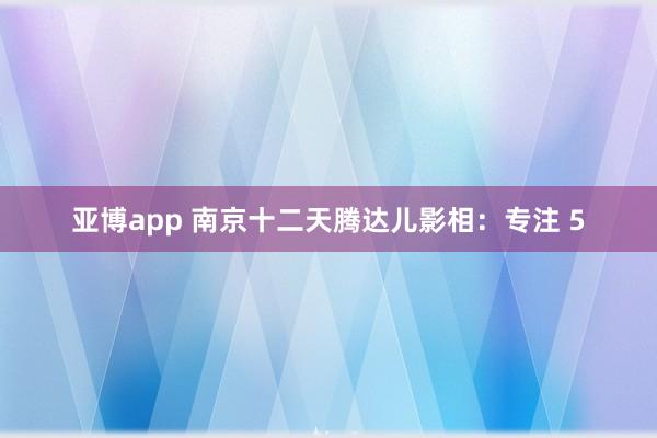 亚博app 南京十二天腾达儿影相：专注 5