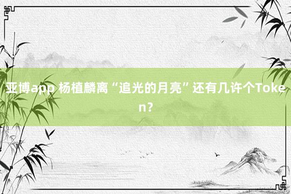 亚博app 杨植麟离“追光的月亮”还有几许个Token？