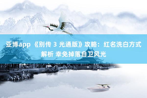 亚博app 《别传 3 光通版》攻略：红名洗白方式解析 幸免掉落自卫风光