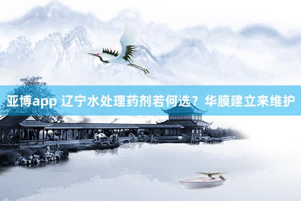 亚博app 辽宁水处理药剂若何选？华膜建立来维护