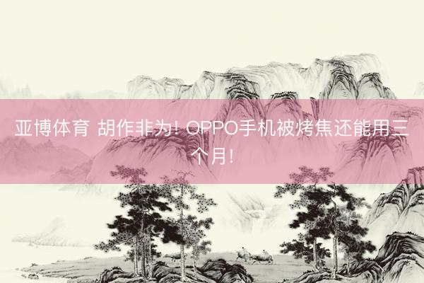 亚博体育 胡作非为! OPPO手机被烤焦还能用三个月!